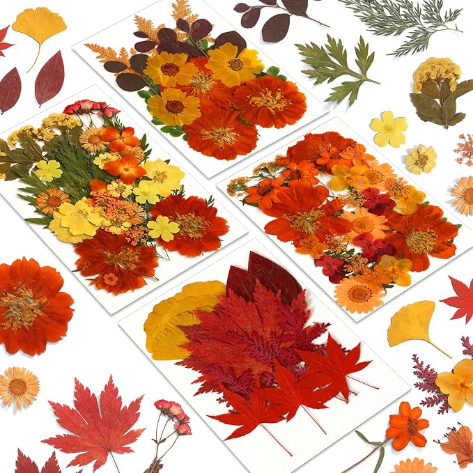 Augshy Fall Dried Pressed Flowers and Leaves for Autumn Crafts Resin DIY