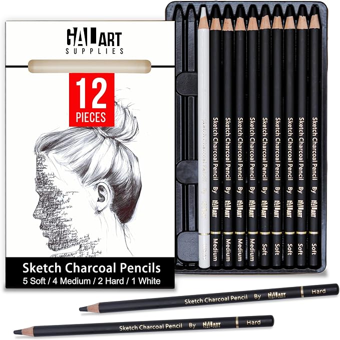 Charcoal Drawing Set with Organizer Tray – 12 Pieces Soft, Medium, Hard and White Charcoal Pencils for Drawing, Shading and Sketching for Artists and Beginners