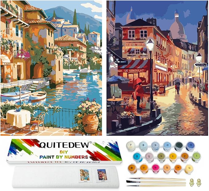 QUITEDEW 2 Pack Paint by Numbers Kit for Adults Colorful Box11.8x15.7 Inch | 2 Pack Adult Paint by Numbers Kit,Paint by Numbers Kits for Adults Beginner,Town for Gifts and Home Wall Decor(Night Market)