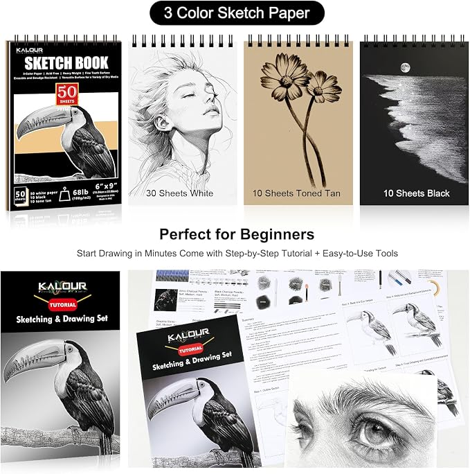 KALOUR PDAS 112 Drawing Set Sketch Kit, Pro Art Supplies with 3-Color Sketchbook, Graphite, Charcoal Pencils, Art Drawing Kit for Artists Adults Teens Beginners, Ideal for Shading & Blending