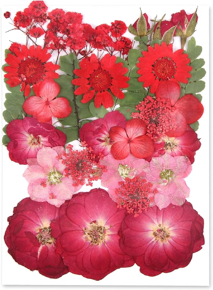 Augshy Red Dried Pressed Flowers, Pressed Red Roses Dried Flowers for Resin Molds Jewelry Nail Art Craft DIY
