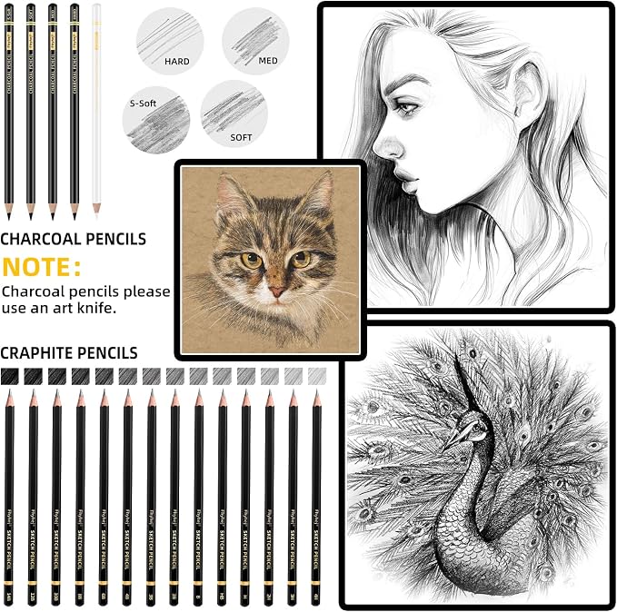 Sketch Drawing Pencil Set, 24 Pcs, Graphite Pencils (14B-4H) | Art Pencil Kit with Black and White Charcoal Pencils, Charcoal Sticks, Stumps, Eraser, Sharpeners, Sketch Set for Artists