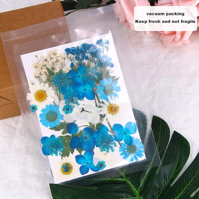 Augshy Blue Dried Pressed Flowers - Natural Real Colorful Dry Flowers for Resin Jewelry Nail Art Craft DIY