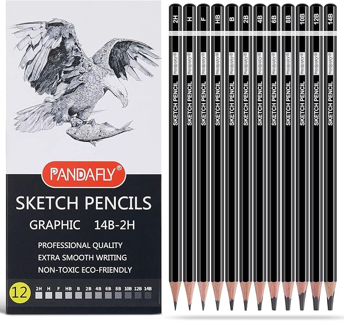 PANDAFLY Drawing Sketching Pencil Set, 12 Pack, Graphite Pencils (14B - 2H) | Ideal for Drawing Art, Sketching, Shading, Artist Pencils for Beginners & Pro Artists