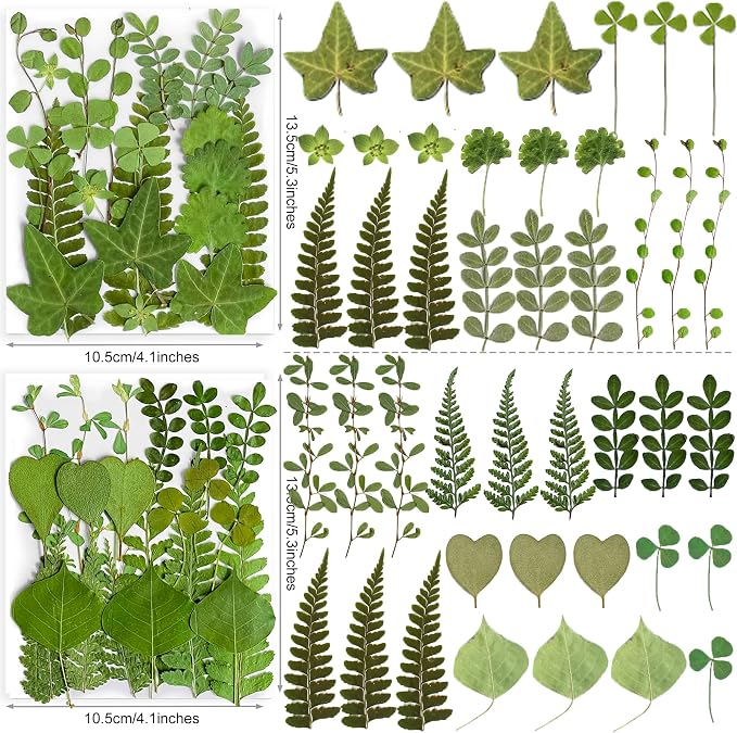 85PCS Real Green Dried Pressed Leaf Leaves, 28 Styles Greeny Mixed
