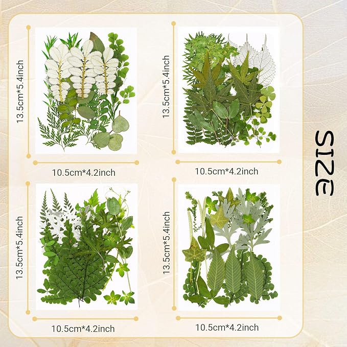 Augshy Pressed Dried Leaves Flowers, 100 Pcs Green Dried Flowers Leaves for Resin Molds Assorted Real Pressed Flowers for Crafts DIY Jewelry Molds, Scrapbooking, Candle