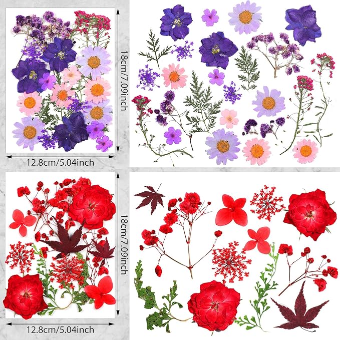 Nuanchu Natural Dried Pressed Flowers Bulk for Craft Resin DIY