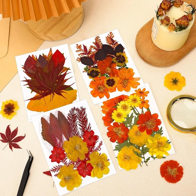 Augshy Fall Dried Pressed Flowers and Leaves for Autumn Crafts Resin DIY