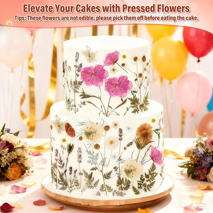 Dried Pressed Flowers for Resin, Real Pressed Flowers Dry Leaves Bulk Natural Herbs Kit for Scrapbooking Art Crafts Epoxy Resin Jewelry Mold Candle Soap Making Nails Décor (White & Pink Floral)
