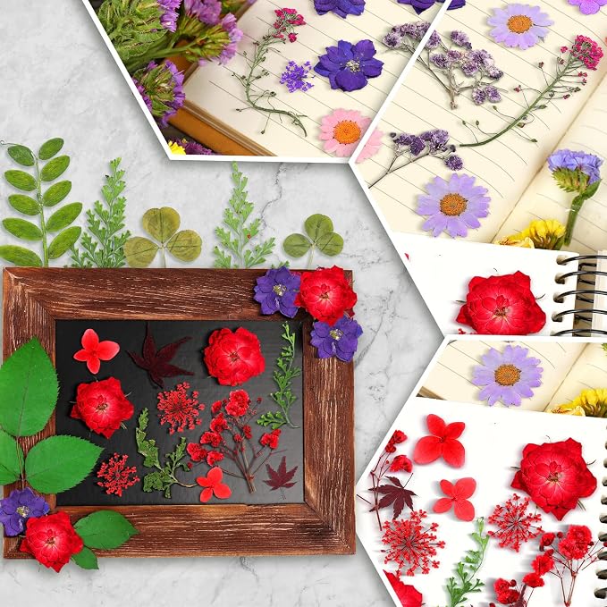 Nuanchu Natural Dried Pressed Flowers Bulk for Craft Resin DIY