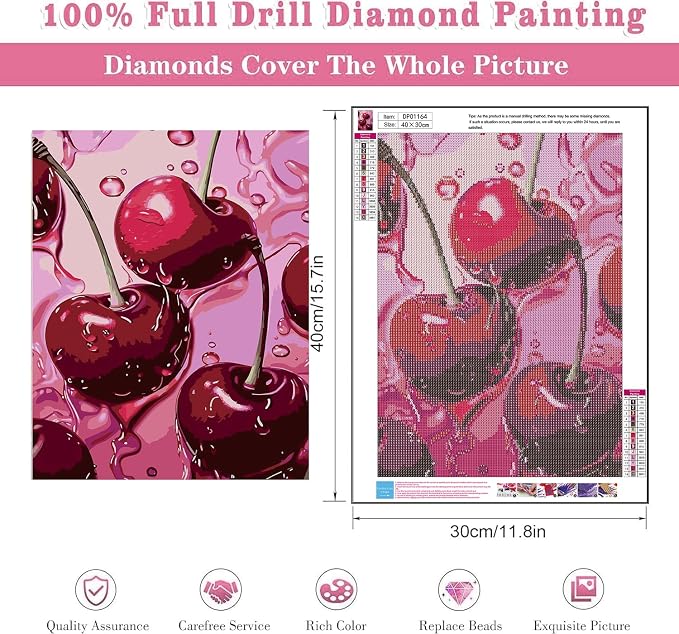 AIBOERL Diamond Art Kits for Adults,Square Drill Cherry Diamond Painting | Square Drill Cherry Diamond Painting for Beginners DIY Square Diamond Dot Painting Gem Art Kits,Home Wall Decor 12x16Inch