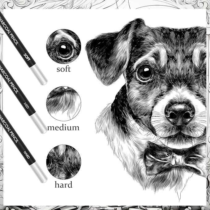 Geyoga 180 Pcs Professional Charcoal Pencils Drawing Bulk Soft Medium and Hard Charcoal Sketch Drawing Pencils for Beginners Artists Shading Sketching
