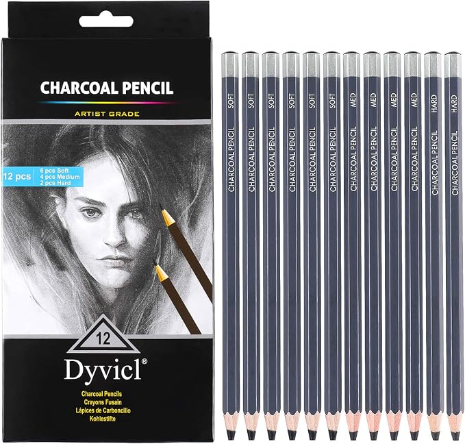 Dyvicl Professional Charcoal Pencils Drawing Set - 12 Pieces Soft Medium and Hard Charcoal Pencils for Drawing, Sketching, Shading, Artist Pencils for Beginners & Artists