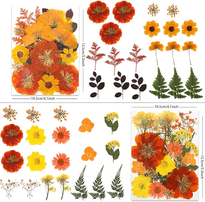 LUXEEASE 80P Autumn Tone Dried Pressed Flowers
