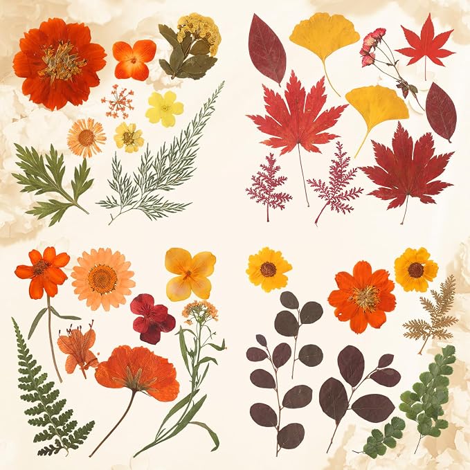 Augshy Fall Dried Pressed Flowers and Leaves for Autumn Crafts Resin DIY