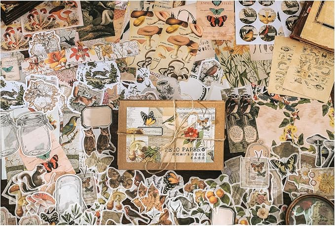 Knaid 200 Pieces Vintage Ephemera Pack Decoupage Paper Junk Journal Kit Scrapbook Planner Sticker Supplies for Art Journaling Bullet Journals Collage Craft Notebooks Album Crafter Gifts (Forest)