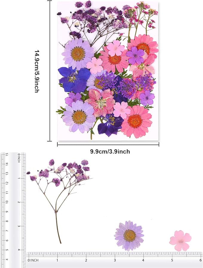 Augshy Dried Pressed Flowers for Resin, Natural Purple Dried Pressed Flowers for Crafts DIY Jewelry Molds, Art Scrapbooking, Candle, Soap Making, Nails Décor