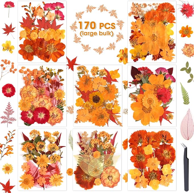 170 PCS Fall Dried Pressed Flowers with Tweezers, Real Nature Dried Flowers Orange Autumn Pressed Florals Set for Resin Scrapbooking Vase Candle Making Card Scrapbook Craft Floral Decors