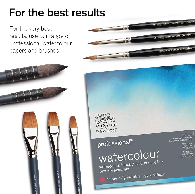 Winsor & Newton Professional Watercolor Paint Set, Customisable Travel Tin | 12 Half Pans, Unrivalled Transparency, Single Pigment Vibrant Colors, Archival Permanence, Heritage Brand, Finest Pigments