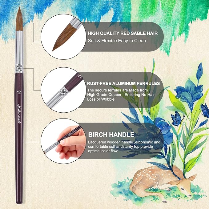 Golden Maple Professional Watercolor Brushes Set - 6PC Natural Hair Horsehair Round Point Artist Paint Brushes for Adults Watercolor Acrylic Ink Gouache Painting Supplies