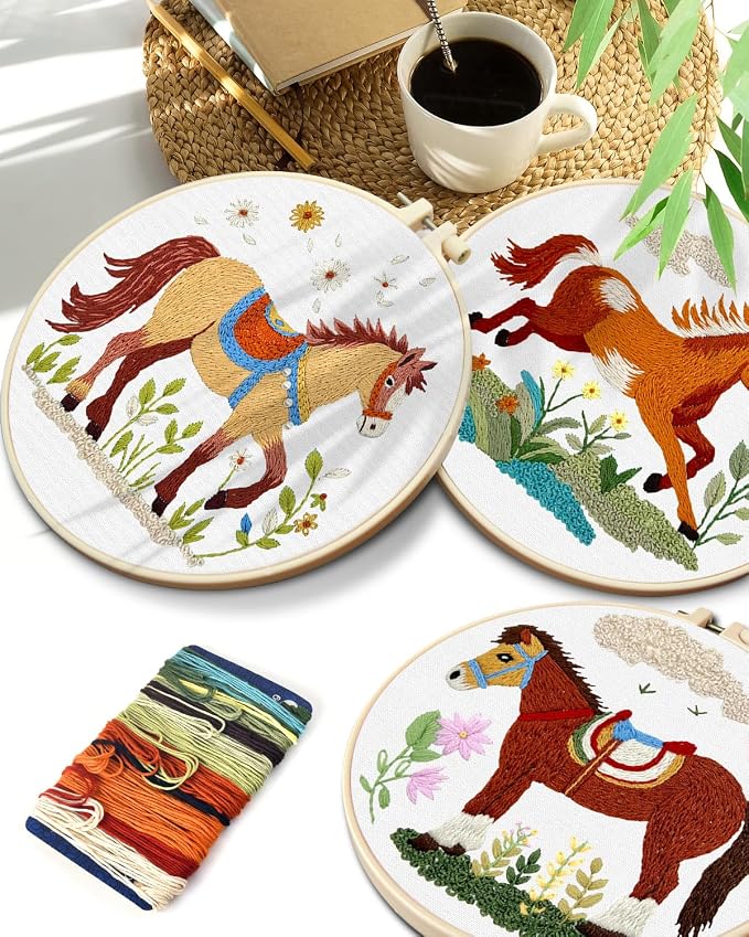 TINDTOP Embroidery Kit for Adult, 3 Pack Embroidery DIY Starter Kit