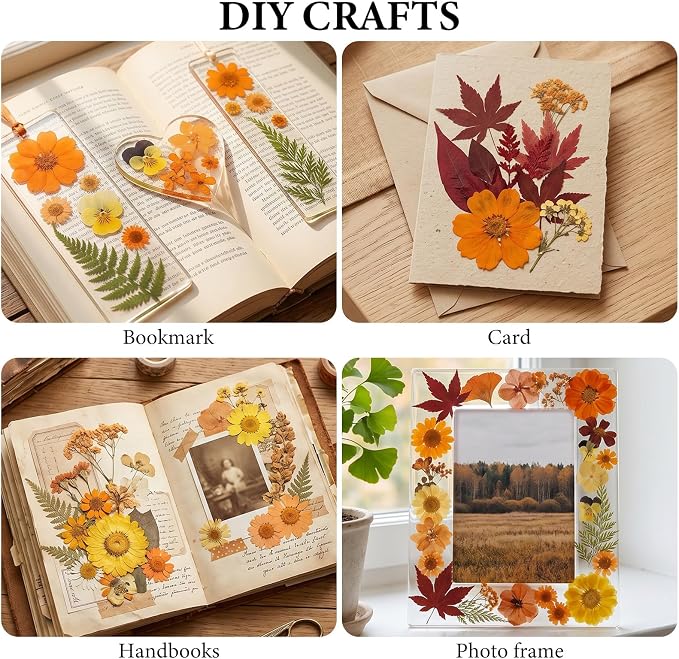 NESCCI 350 Pcs Orange Fall Dried Flowers for Crafts,Real Nature Dried Flowers for Craft Bulk Dry Flowers Leaves Kit Used for Resin Molds Scrapbooking DIY Art Crafts Candle Soap Making Nails Décor
