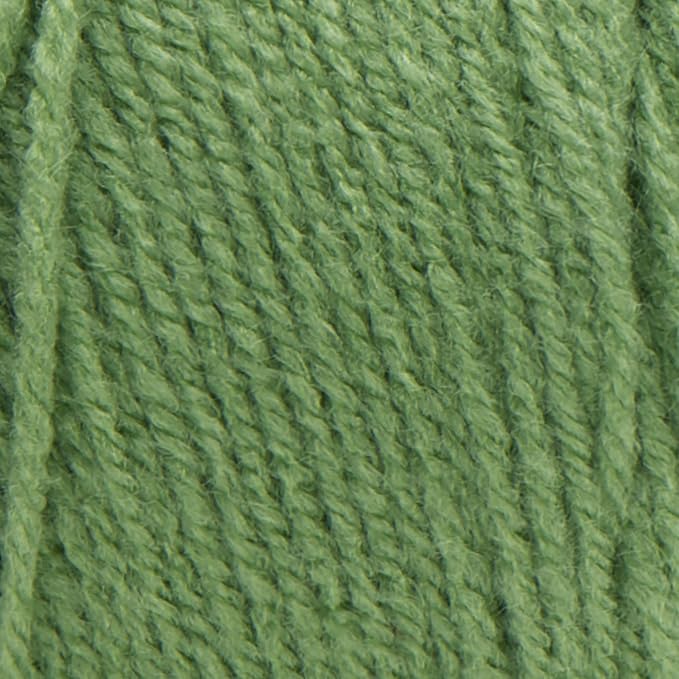 RED Heart E300.0624 Super Saver Yarn, Tea Leaf