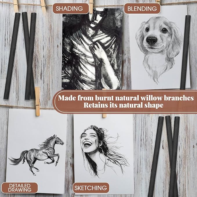 Gueevin 25 Pcs Soft Willow Charcoal Sticks Drawing,5-7mm | For Artists Beginners Students, Vine Charcoal Bulk for Sketching Shading Fine Art, Assorted Sizes, Back to School Gifts