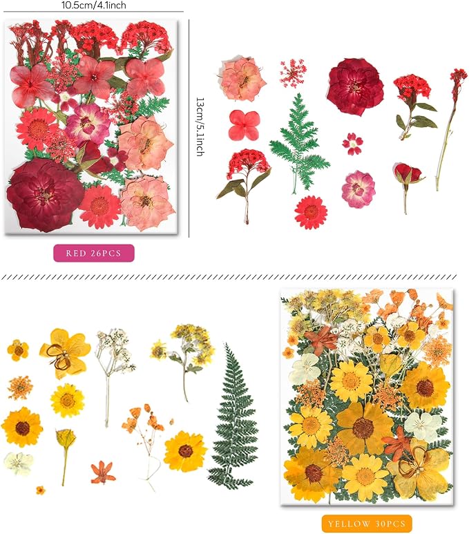 110+PCS Pressed Flowers for Resin, Colorful-B | Real Dried Flower Leaves, For Resin Jewelry Making, For Scrapbooking Crafts, For DIY Soap Candles, For Nails Décor