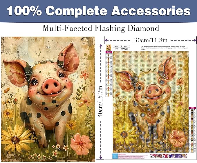 ijbnhd Diamond Art Kits for Adults Cute Pig 12X16in