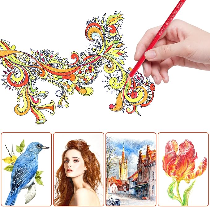12-Color Colored Pencils Professional Coloring Pencils for Adults Art Color Drawing (Pack of 3)