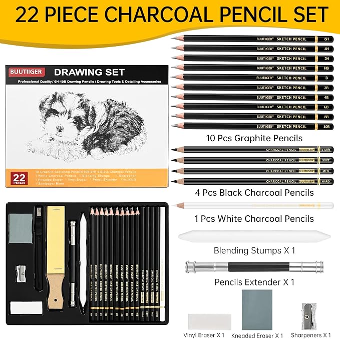 Drawing Sketching Pencil Set, 22 Pcs, Graphite Pencils (10B-6H) | Art Pencil Kit with Black and White Charcoal Pencils, Charcoal Sticks, Stumps, Eraser, Sharpeners, Sketch Set for Artists