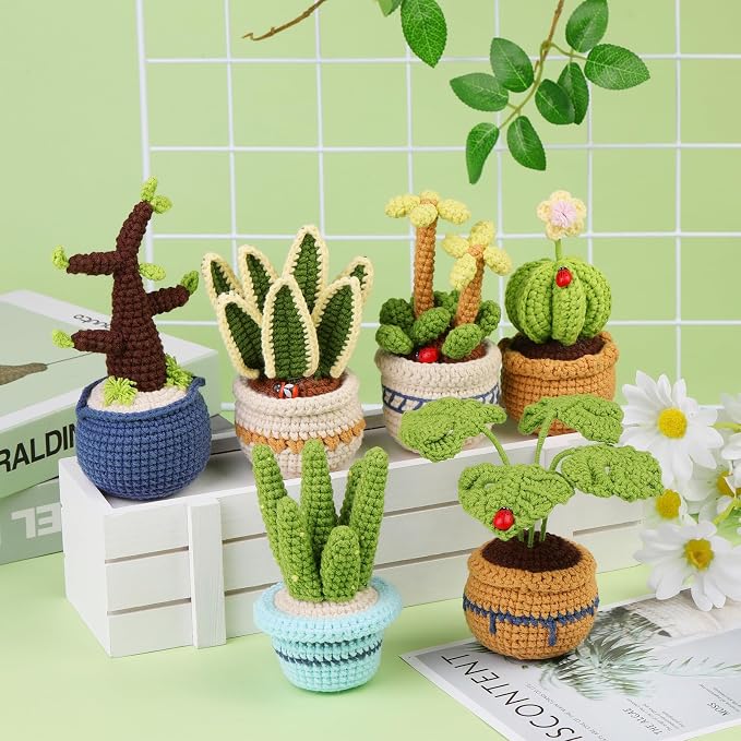 Hssugi Crochet Kit for Beginners, 6PCS Succulents Plants Crochet Kits | Crochet Kits with Step-by-Step Video Tutorials, Crochet Yarn DIY Beginner Crochet Kit for Adults Succulent Family