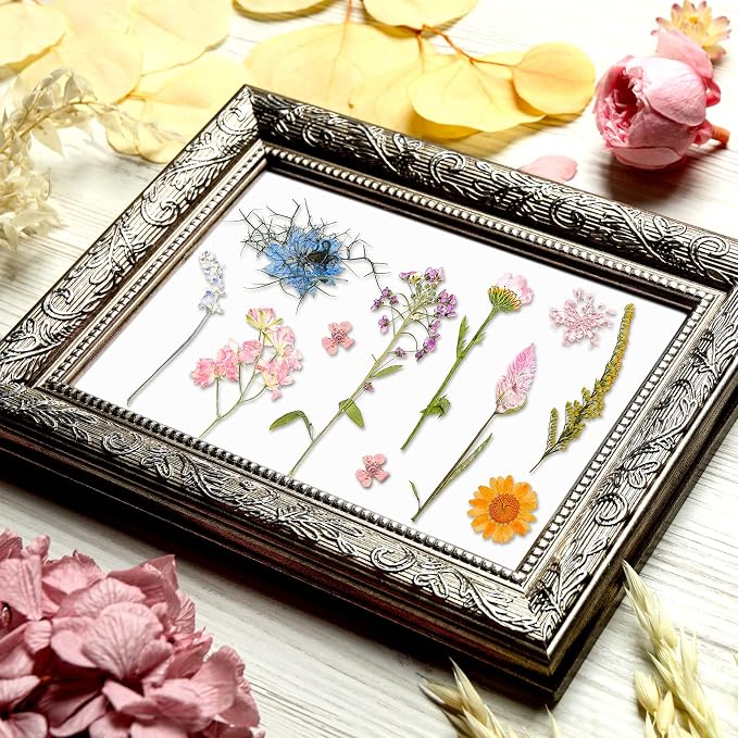 Nuanchu Real Dried Pressed Flowers Wildflower Stem for Resin Mold Craft DIY