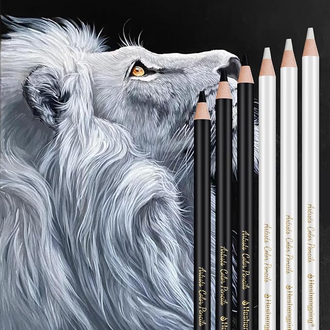 White and Black Color Pencils Drawing Set, 6 pcs White and 6 pcs Black Colored Sketching Pencils for Drawing, Sketching, Shading, Blending for Beginners & Artists