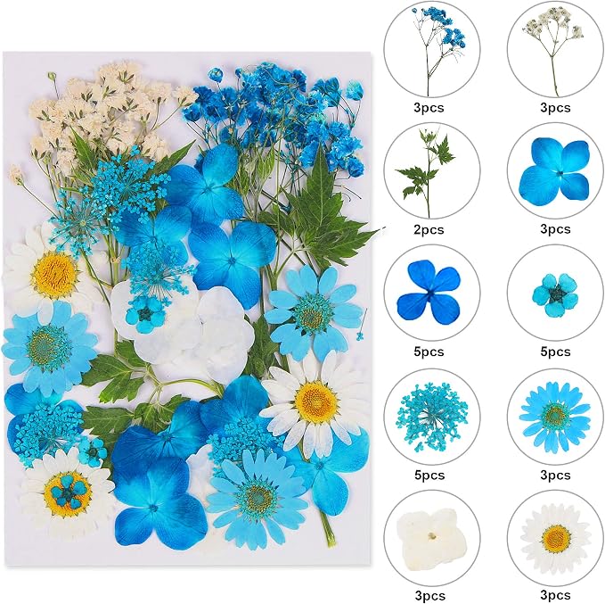 Augshy Blue Dried Pressed Flowers - Natural Real Colorful Dry Flowers for Resin Jewelry Nail Art Craft DIY
