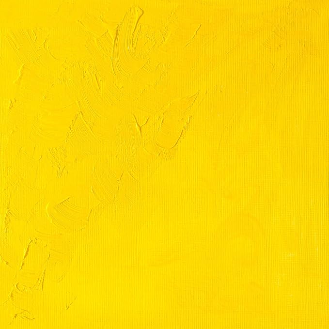 Winsor & Newton Winton Oil Color, 37ml Tube, Cadmium Yellow Light | High-quality pigments, Durable, Lightfast, Permanent, Uniform Consistency, Great Pigment Load