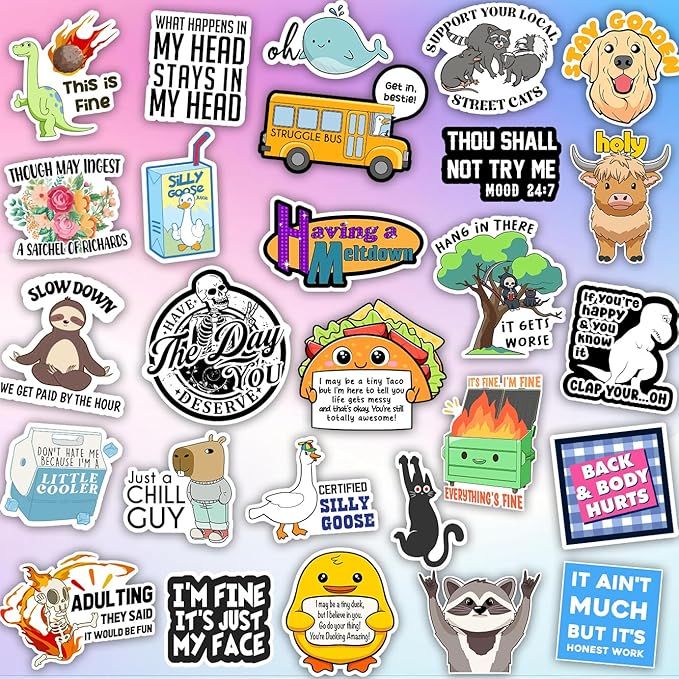 225PCS Funny Hot Mess Xpress Sticker Pack by Puraesla - Holographic Stickers for Adults, Waterproof Vinyl Sarcastic Relatable Meme Decals for Laptop, Water Bottle, Phone, Kindle, Journal