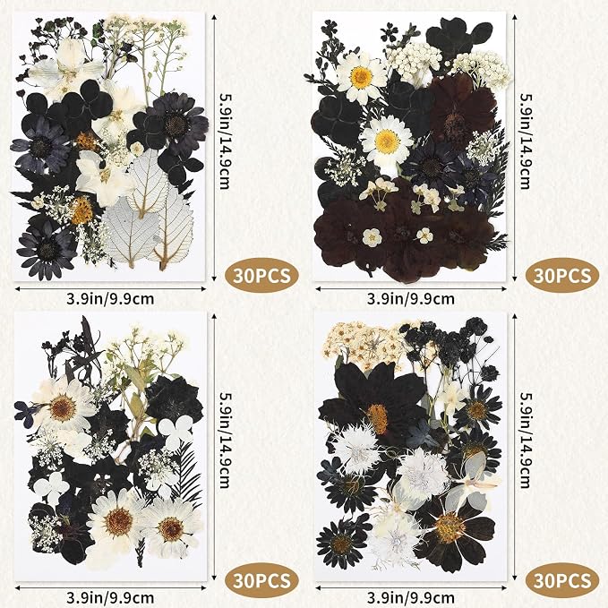 Augshy Black Dried Pressed Flowers, 120 Pcs Halloween Dried Flowers for Resin Molds Real Pressed Flowers for Crafts DIY Jewelry Molds, Scrapbooking, Candle, Soap Making