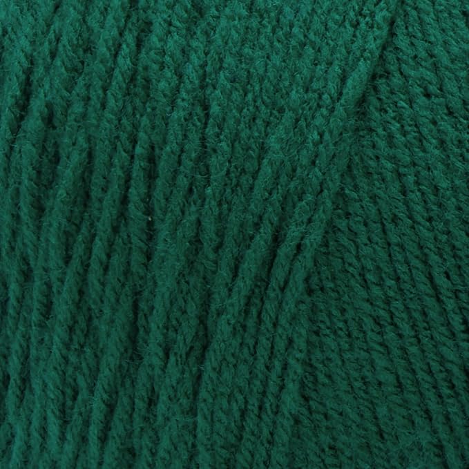 RED HEART Super Saver Jumbo Yarn, Paddy Green