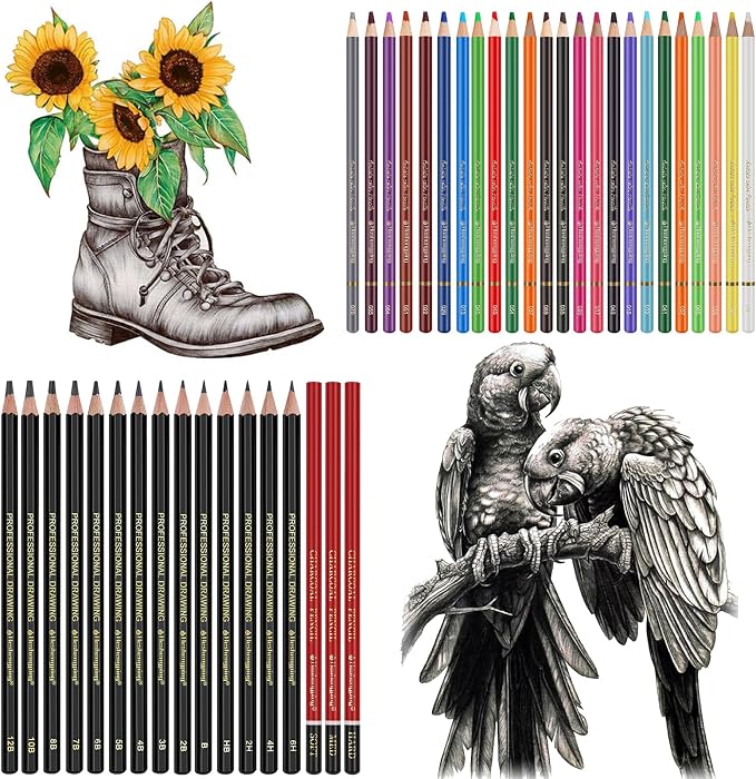 Heshengping Sketching Drawing Art Pencil Kit-50 Piece Set with 24 Color Pencils for Coloring Books, 14 Graphite 3 Charcoal Erasers Etc., Artist Supplies Ideal for Adult, family friend, Beginner