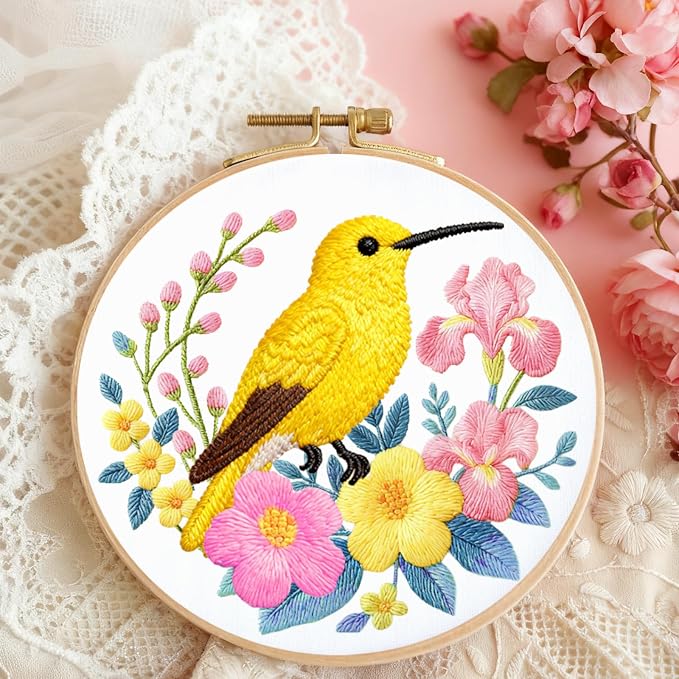 BEUNITONE 6 Set Hummingbird Starter Embroidery Kit with Pre-Stamped Pattern