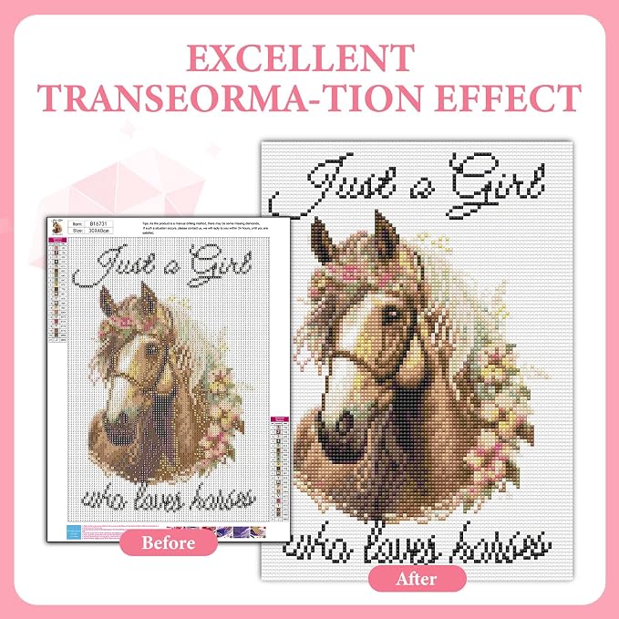 GEEHEIY Diamond Art Kits for Adults, 5D Floral Horse Diamond Painting Kit