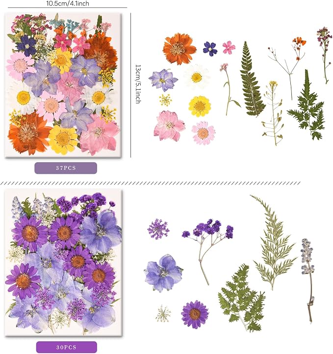 330PCS Natural Color Pressed Dried Flowers for DIY Crafts Corlor-9