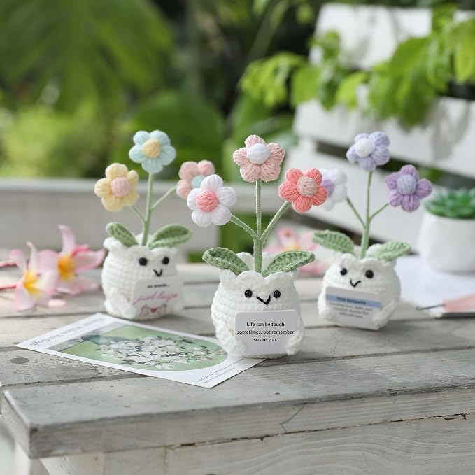 Crochet Sympathy Gifts for Loss of Loved One – No Words, Just Hugs Crochet Puff Flower Plant– Bereavement, Memorial, Get Well Soon, Grief Gift Idea for Loss of Grandpa Grandma Mom Dad
