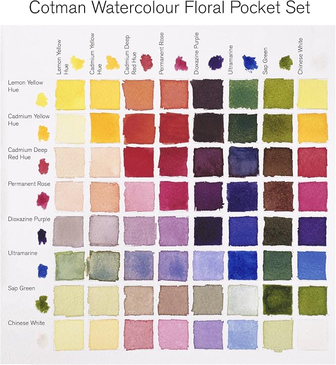 Winsor & Newton Cotman Watercolor Paint Set, 8 Half Pan, Floral Pocket Set | Introductory Watercolor made with Fine Art Pigments, Perfect for Beginners, Lightfast & Permanent, Good Tinting Strength