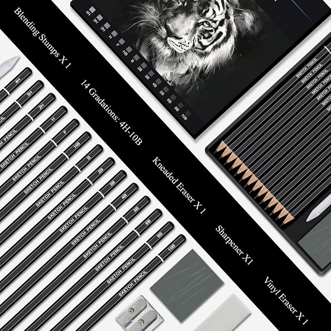 Aenir Sketch Pencils for Drawing, Drawing Pencils Set of 18, 10B–4H Graphite Pencil, Vinyl Eraser, Kneaded Eraser, Sharpener, Blending Stump,Sketch Set for Artists, Art Supplies.