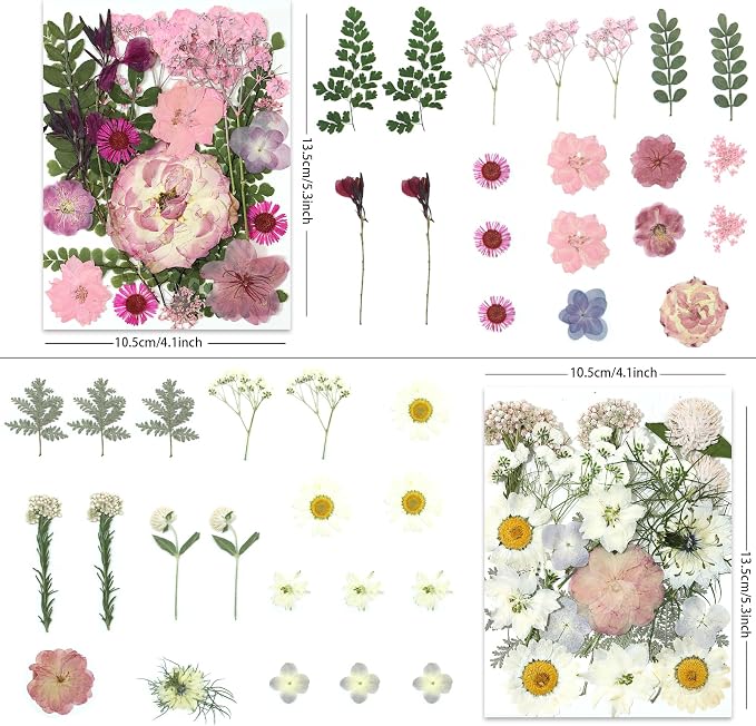 LUXEEASE 4-Color 80P Natural Dried Pressed Flowers