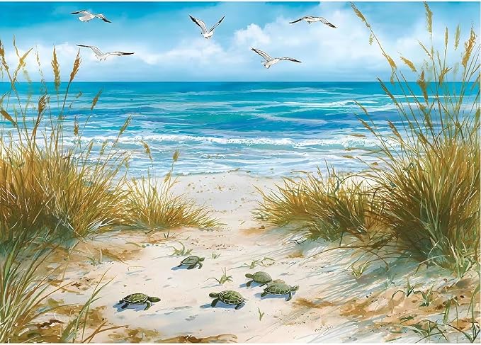 TCDZMYGS Diamond Art Kits for Adults,Beach Diamond Painting Kits 12X16 Inch