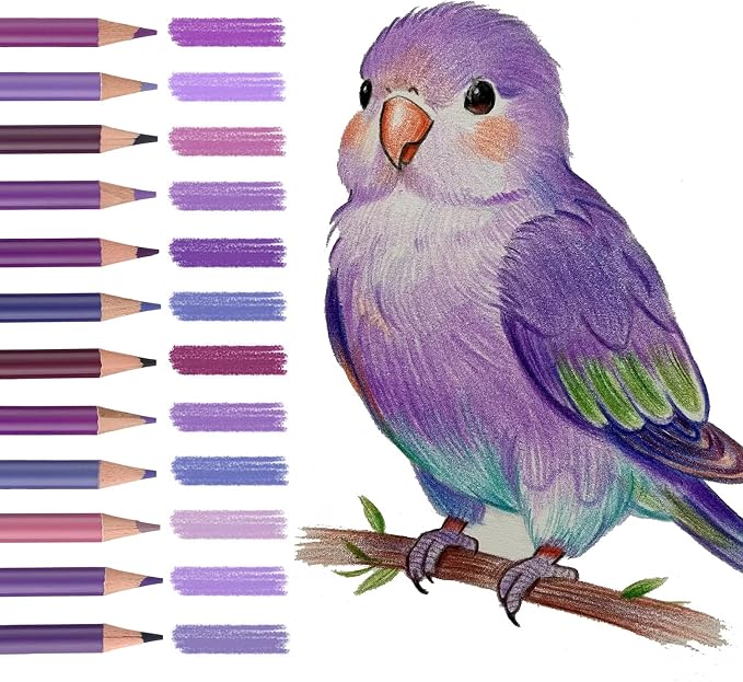 12 Purple Colored Pencils,Oil Based Colored Drawing Pencil Set for Adults Coloring Books Drawing Sketching Art Supplies